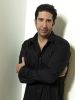 David-Schwimmer-torronto-2024244.jpg