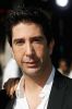 David Schwimmer Madagaskar 2